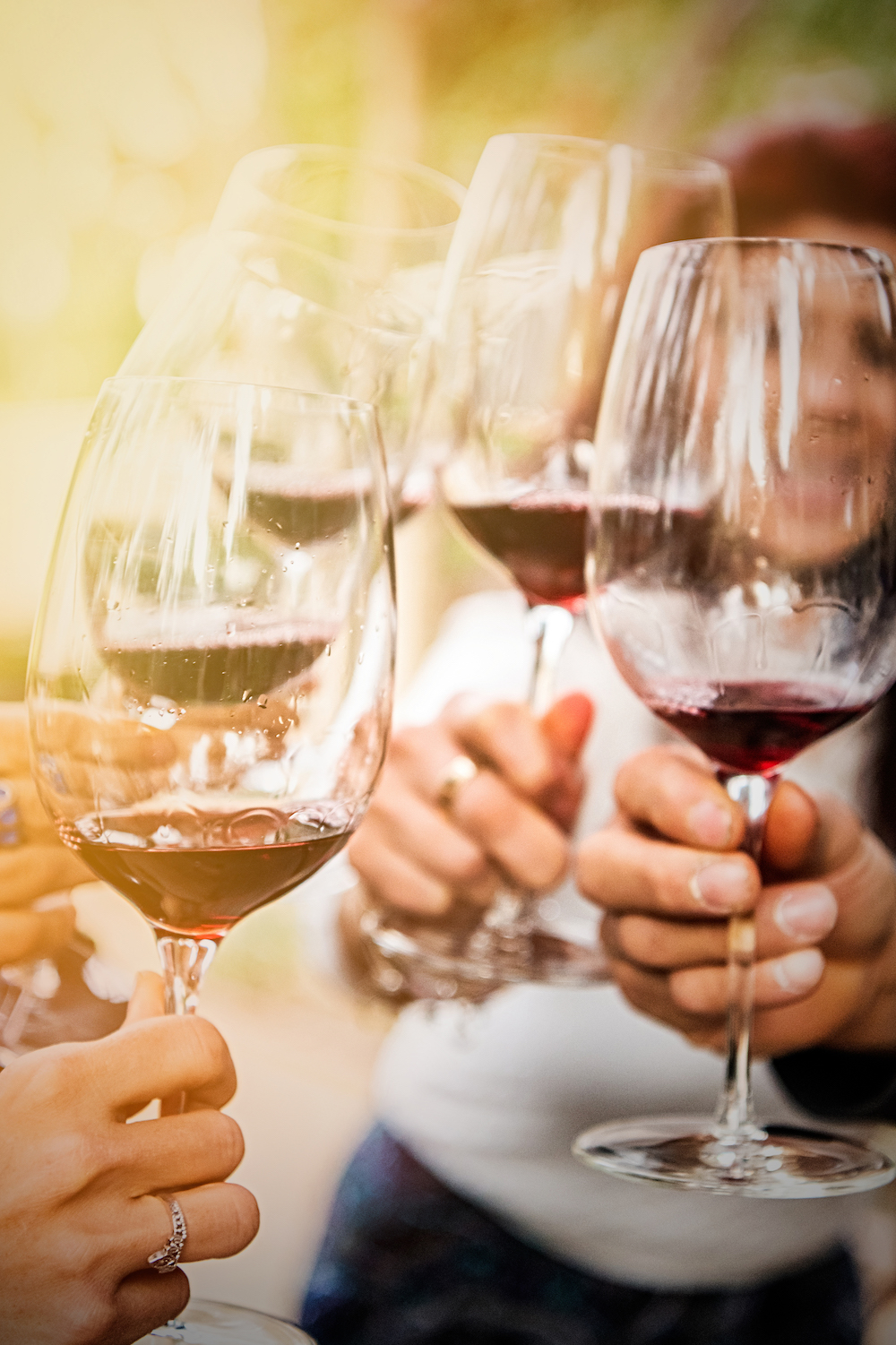 Mehrere Menschen stoßen im Sonnenlicht mit Rotwein in Weingläsern miteinander an